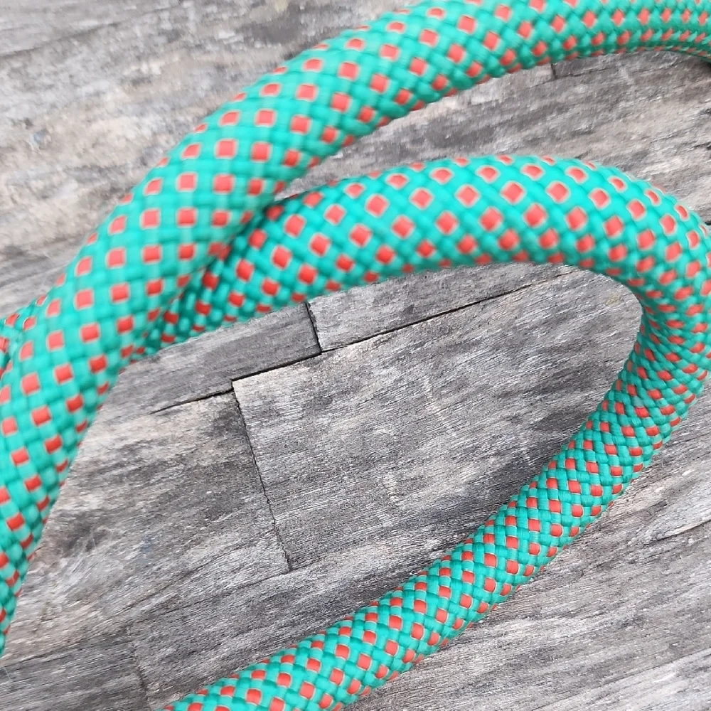 Dog Leash Green